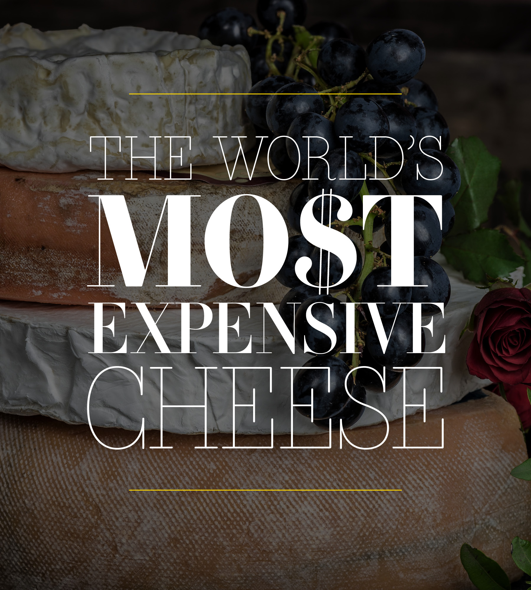 The World’s Most Expensive Cheese – Global